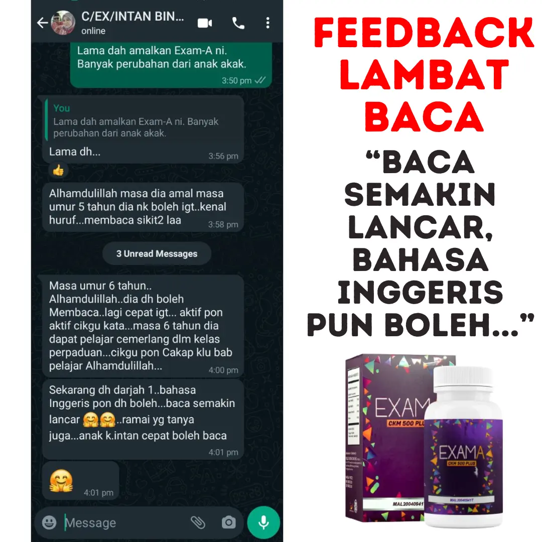 LAMBAT-BACA-1.webp